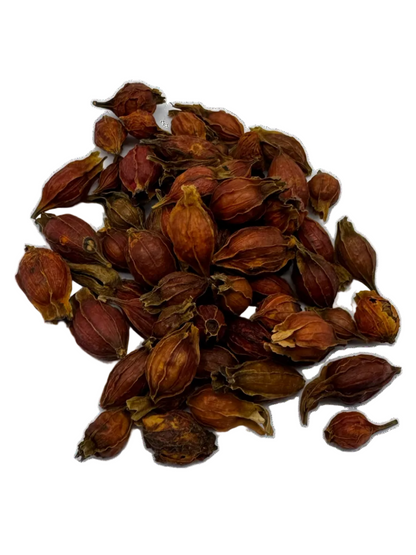 Dandelion Wolfberry Chrysanthemum Cassia seed herbal Tea Blend